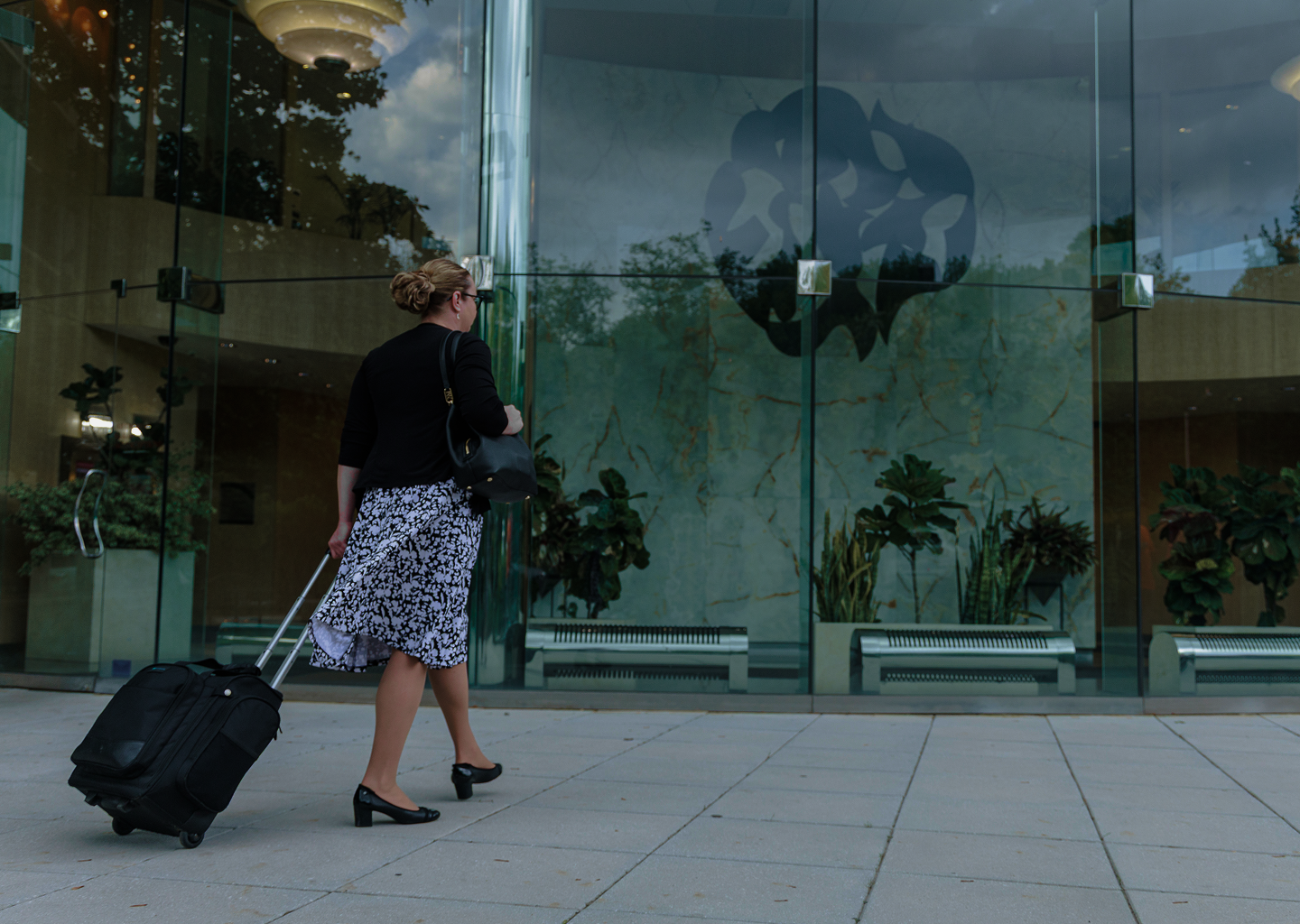 Marina Dubson arriving for professional reporting services